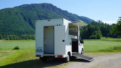 Pferdetransporter Citroen Jumper