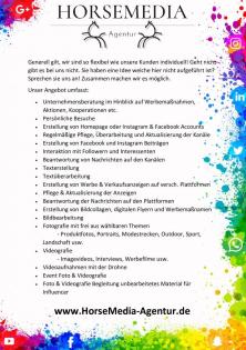 Social Media & Werbe- management für Pferdebetriebe
