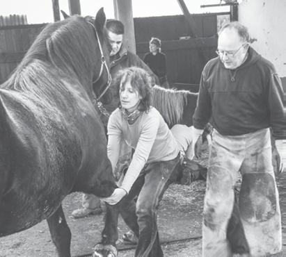 Hufkurs für Pferdhalter
