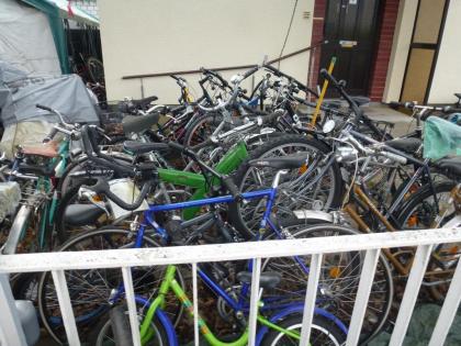 (71) 7 Gang Rücktrittsbremse 24 Zoll Rh 34 mit Nabendynamo