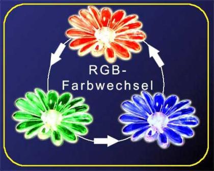 Stableuchte Solar Frosch LED-Farbwechsel