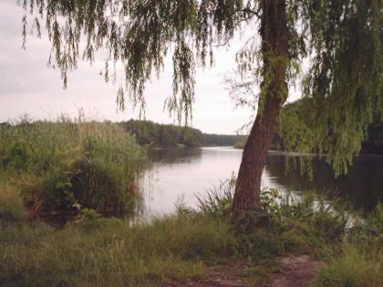 Ferienhaus zwischen Ostsee und Peenestrom ganzjährig zu vermieten, Haustiere ang