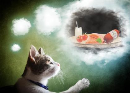 Katzen würden Ihr Futter Reico kaufen!