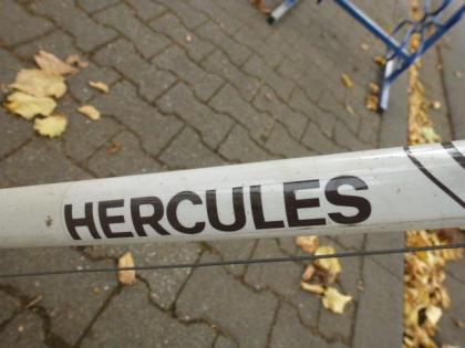 (21) 5 Gang 28 Zoll Rh 57 sehr bequemer Einstieg