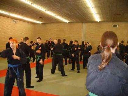 Kampfkunst aus Japan boomt