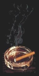 PC? Internet? Na dann los!!!