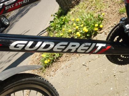 (245) 21 Gang 26 Zoll GUDEREIT Gabel gefedert Nabendynamo