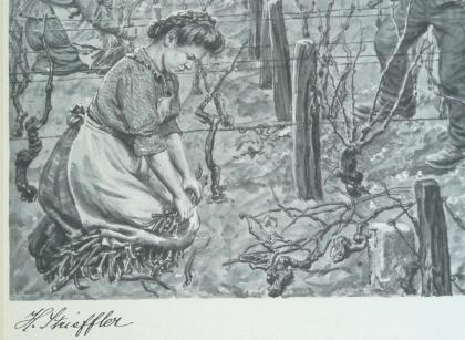 Strieffler Heinrich Rebenschneiden Grafik (B068)