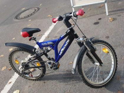 (99) 6 Gang 20 Zoll Gabel u Sattel gefedert MC-KENZIE Rh 33