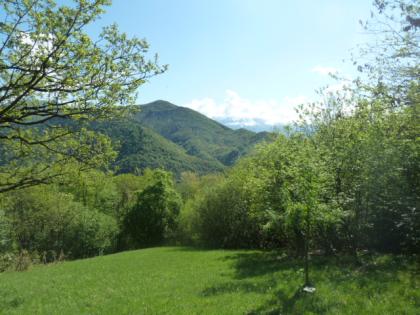 Zu Verkaufen Freizeitgrundstück mit Wald und Wiese am Berg 16'270 m2 mit Blockhü
