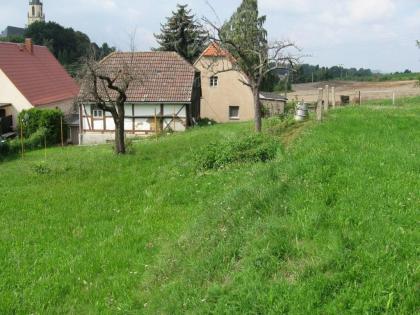 EFH  in STAUCHA