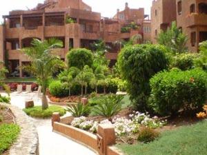 Appartment Romen - Ferienwohnung auf Teneriffa