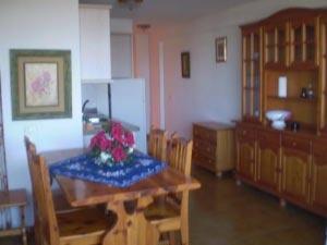 Urlaub auf Teneriffa in der Ferienwohnung Fewo Flamingo