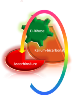 Kaliumascorbat mit Ribose  Das Original 