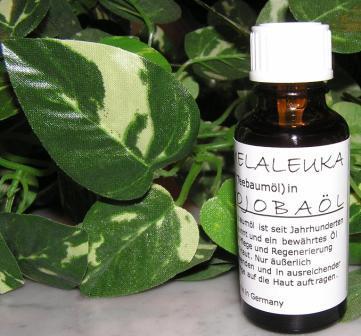 Teebaumöl aus eigener Herstellung