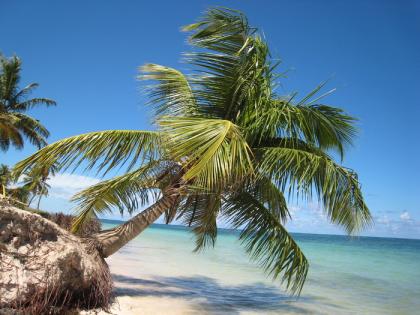 Sonne, Strand & Meer 