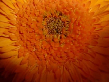 Manu17 bei Keria.de / 15 min Gratisgespräch nutzen.