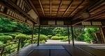 Japan - Der Geist  des Bonsai