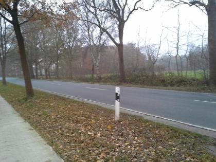 30900 Wedemark 2021qm Grund in Hellendorf naturnah