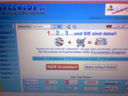 Kaufen sie im Internet ein um Zeit und Geld zu Sparen?