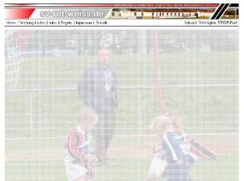 Bannerwerbung bis 235x60 Pixel