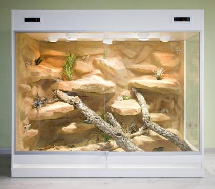 Terrarium Wüste/ Steppe z.B. für Bartagamen