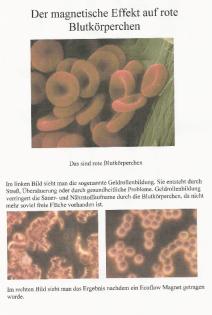 Wir bieten das was andere nicht haben...Weltweit patentiertes Gesundheitsprodukt