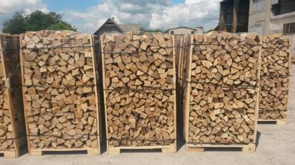 Brennholz Buche frisch