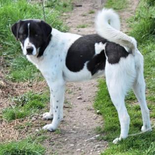 Zaza - nicht ganz so schüchtern wie Zozo