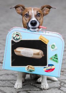 Warum seinen Hund nicht mit Reico Vital ernähren!? 