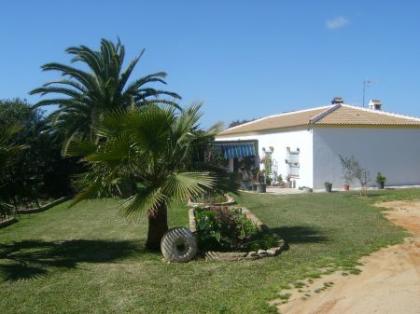 Finca-Schäppchen