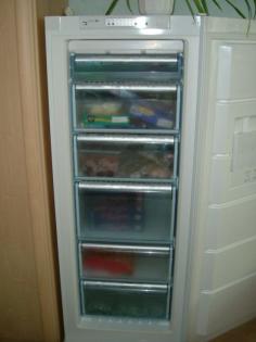 Gefrierschrank Bosch GSN84E00 no frost