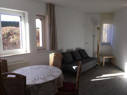 1-Zimmer-Appartement, 22 qm, möbliert, mit Stellplatz, ab 01.03.2021 zu vermiete