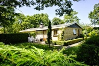 Ferienhaus bei Domburg, Zeeland: Wandern mit Ihre Hund (Dackel) die Strände entl