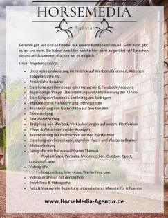Immobilienfotografie Immobilienpräsentation Drohnenaufnahmen