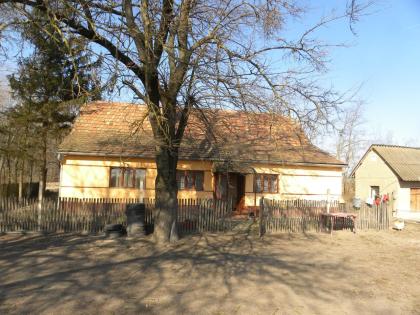 In Ungarn Kiskunmajsa 80 m2 Bauernhaus mit 4,5 ha Land