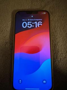 IPhone 13 Pro Max guter Zustand