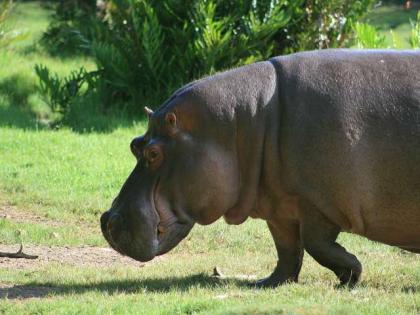 Weihnachten und Silvester - Jeep Safari Kenia 12 Tage 