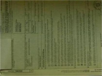 Griechische Landschildkröten, Eier legend zu verkaufen