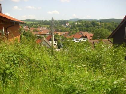 MIETKAUF-Schnäppchen eines stark renov.bed. freist. EFH`ses mit fast 2021qm Grd.