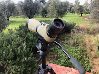 Zeiss Diascope 85 T FL grün + Velbon Sherpa Pro CL 641 EL Carbon Stativ