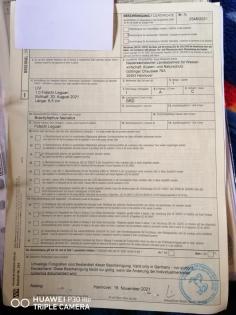 Fidschi Leguan Nachzucht