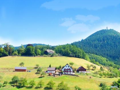 Ferienhaus Müllerbauernhof im Schwarzwald