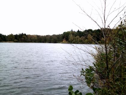 Angelgewässer Woldsee Bilder von Angel.Blog. Zwischen Weser und Ems