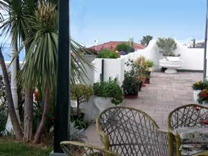 Casa Green Garden