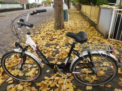 (218) 7 Gang 26 Zoll Rh 42 Gabel u Sattel gefedert mit Nabendynam