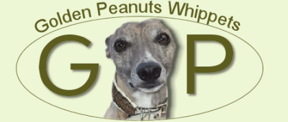 Golden Peanuts Whippets