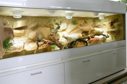 Terrarium Wüste/ Steppe z.B. für Bartagamen