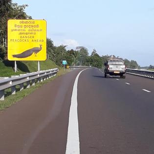 Sri Lanka- Billiger Mietwagen