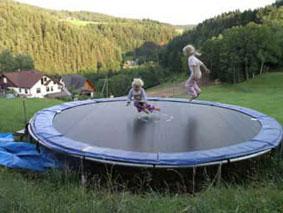 Urlaubsbauernhof im Schwarzwald mit 2 Fewos für Familienferien